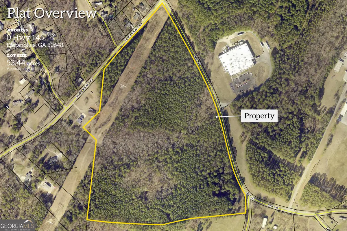 0 Highway 145, Eastanollee, GA 30538 - #1