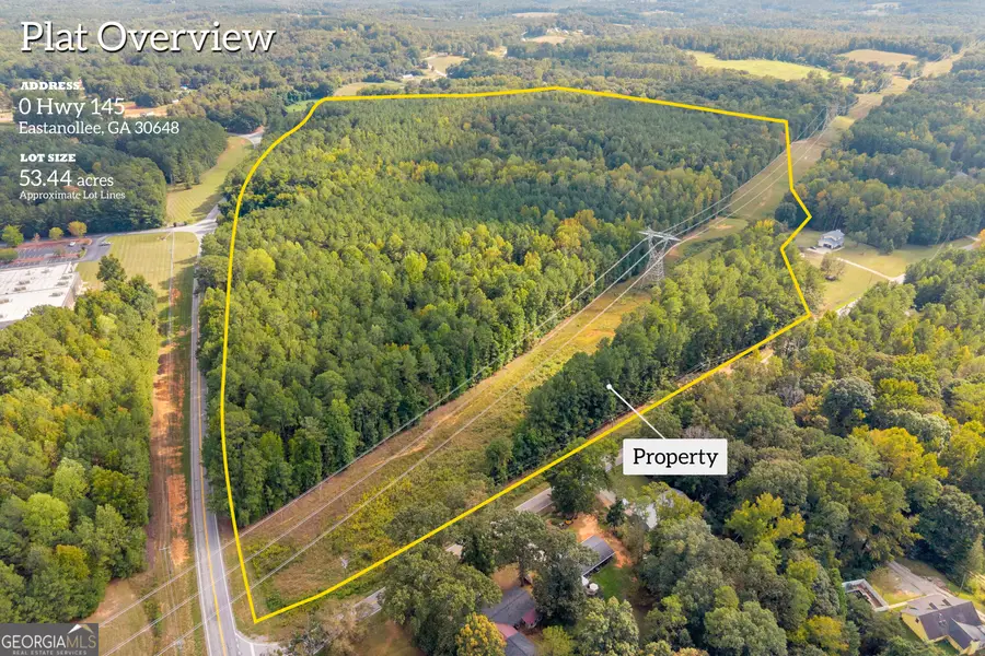 0 Highway 145, Eastanollee, GA 30538 - #3