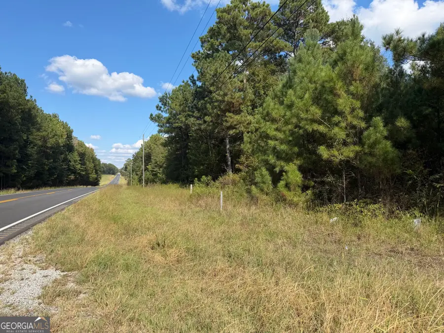 0 Highway 431, Lafayette, AL 36862 - #3
