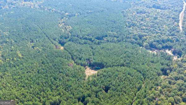 0 Hwy 220 & Salem Church Road, Lincolnton, GA 30817