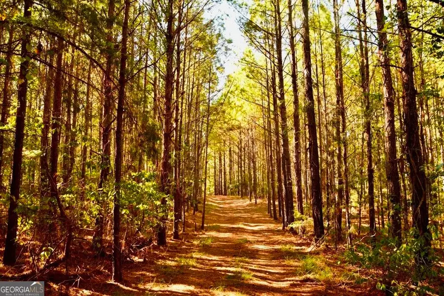 0 Hwy 220 & Salem Church Road, Lincolnton, GA 30817 - #2