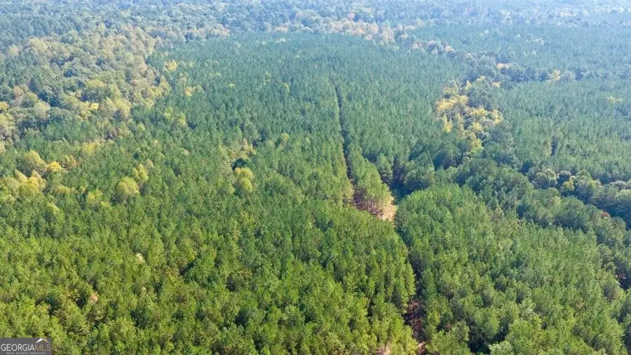 0 Hwy 220 & Salem Church Road, Lincolnton, GA 30817 - #3