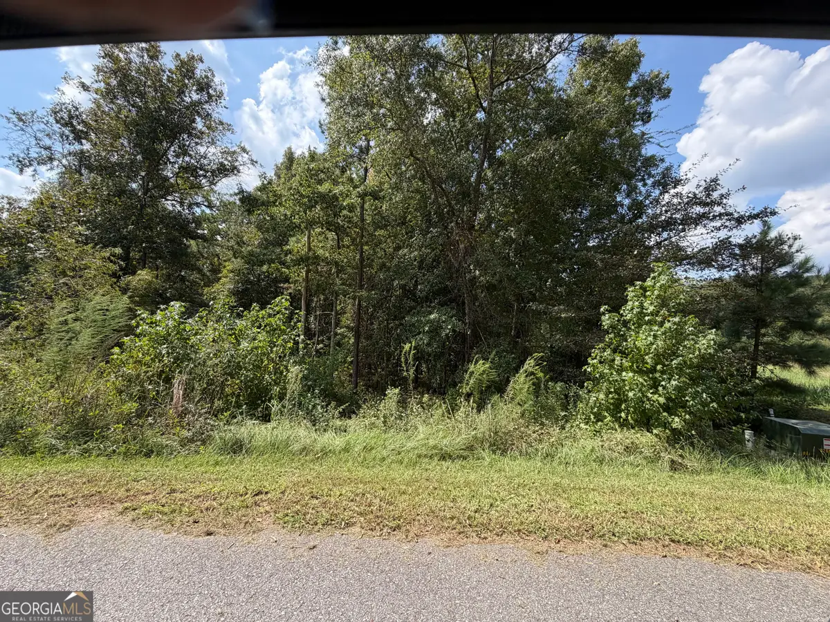 303 Shelter Cove, Lizella, GA 31052 - #1