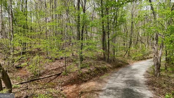 0 Shenandoah Drive, Cleveland, GA 30528