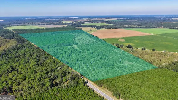0 Old Pelham Road, Climax, GA 39834