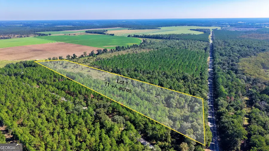 0 Old Pelham Road, Climax, GA 39834 - #2