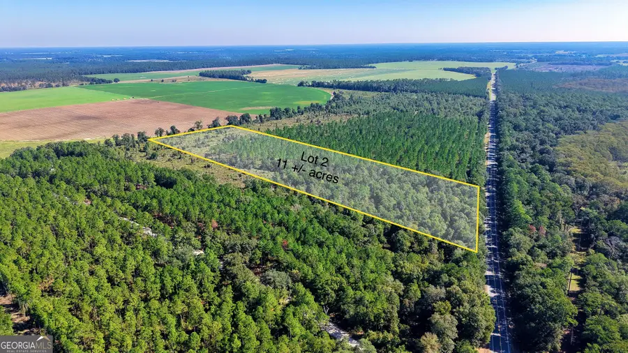0 Old Pelham Road, Climax, GA 39834 - #3