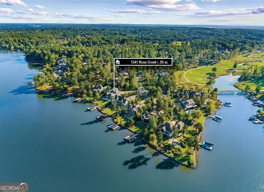 1341 Rose Creek, Greensboro, GA 30642 - #2
