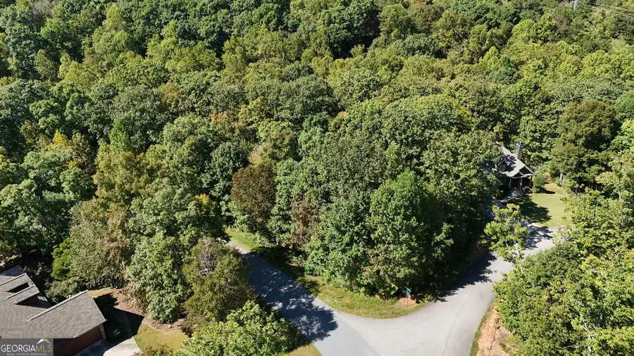 LOT 8 Long Mountain Trail, Cleveland, GA 30528 - #2