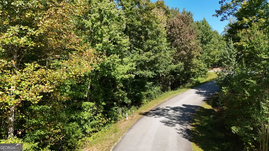 LOT 8 Long Mountain Trail, Cleveland, GA 30528 - #3