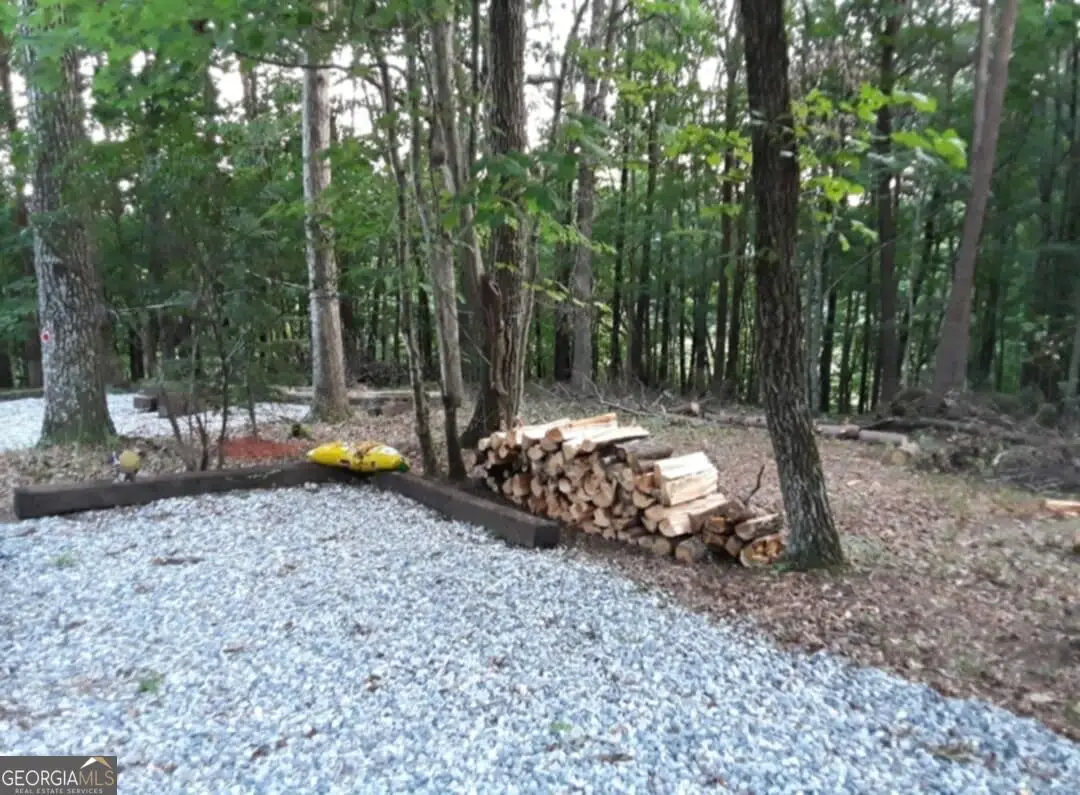 0 Pink Mountain, Cleveland, GA 30528 - #1