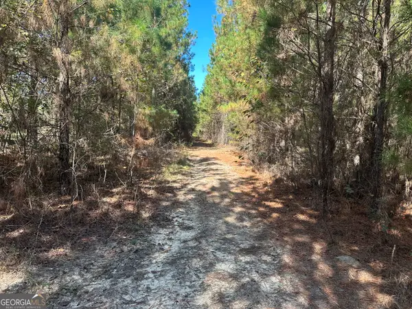 1001 Millen-hiltonia Road, Sylvania, GA 30467
