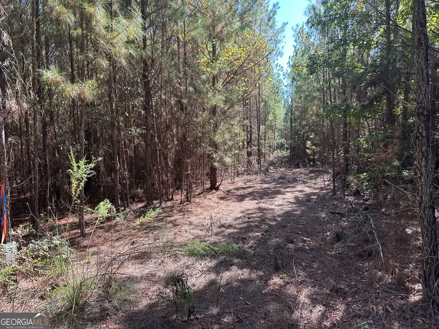 1001 Millen-hiltonia Road, Sylvania, GA 30467 - #2