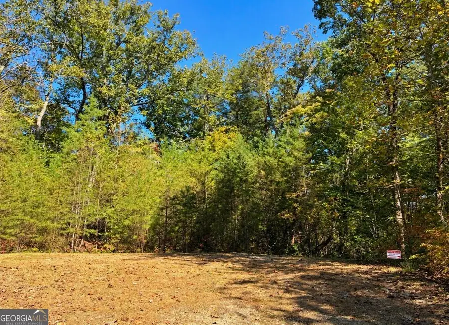 0 Marjorie Ave, Ellijay, GA 30536 - #2