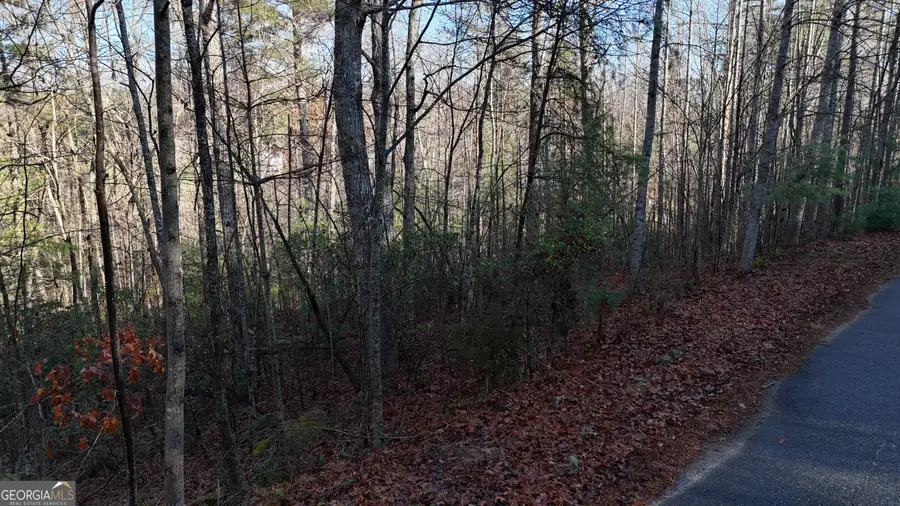 LOT 10 Gold Ditch Road, Cleveland, GA 30528 - #3