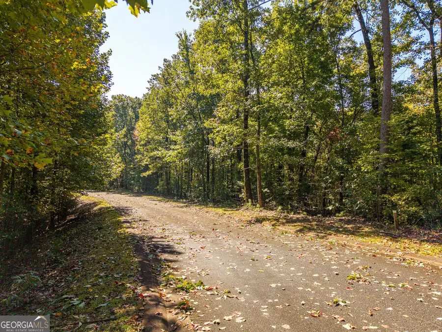 LOT 22,23,0 Abbott Mill Road, Ellijay, GA 30540 - #3