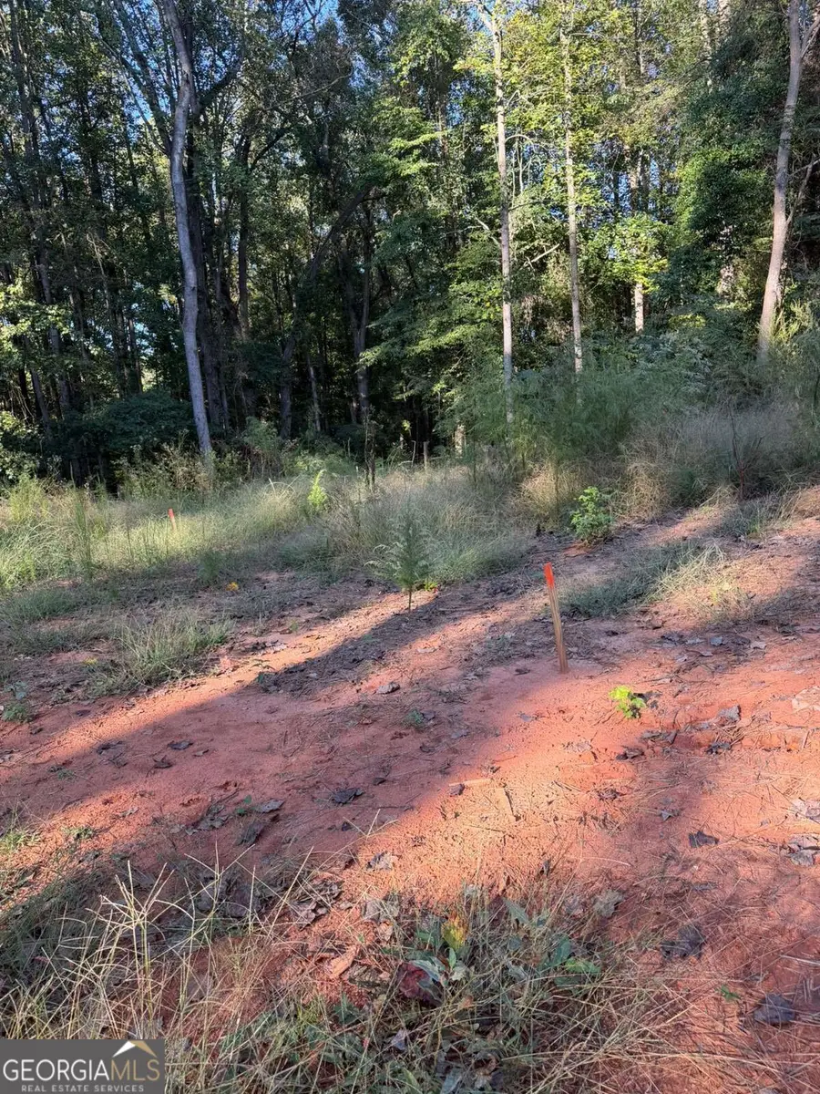 92 Ida Pace Road, Nicholson, GA 30565 - #2