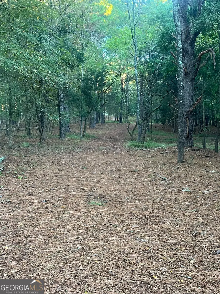 TRACT 3 Seven Islands Rd., Madison, GA 30650 - #2