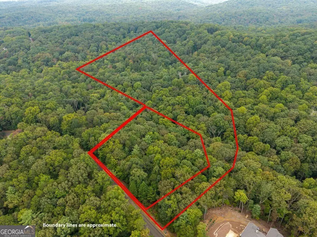 0 Abbott Mill Road, Ellijay, GA 30540 - #1