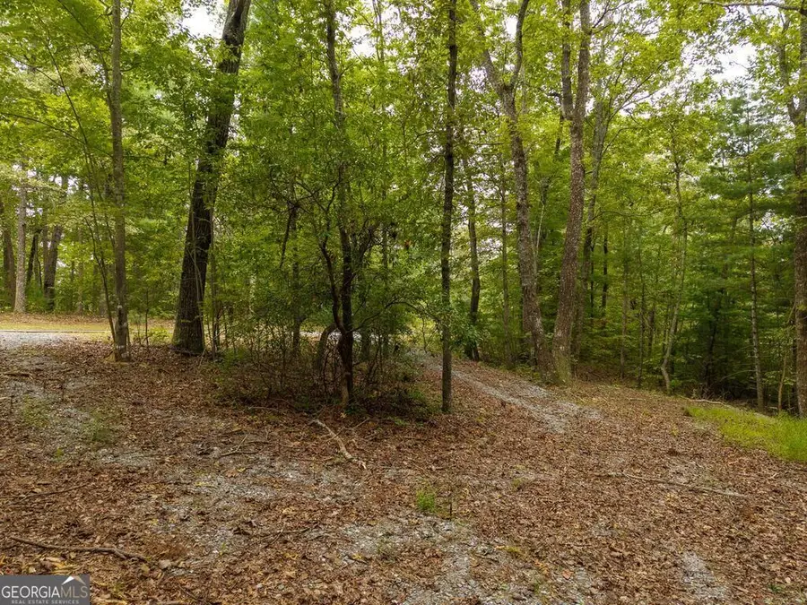 0 Abbott Mill Road, Ellijay, GA 30540 - #3