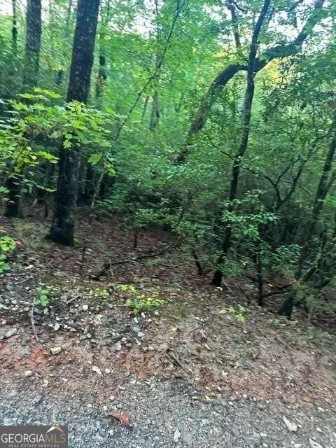 LOTS 3&4 Amicalola Woods Road, Dawsonville, GA 30534 - #1