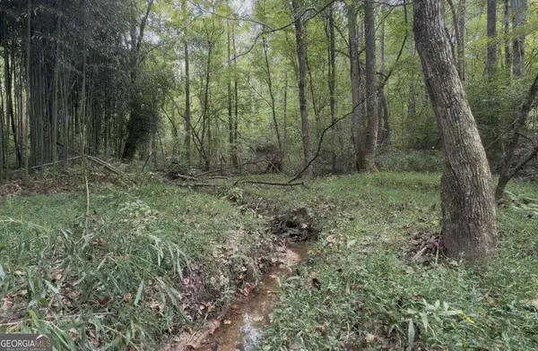 127 Ikes Circle #4, Ellijay, GA 30536