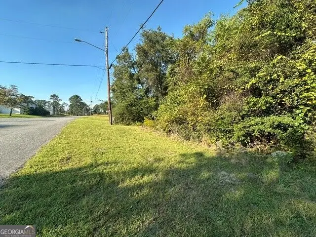 0 Cleveland Street, Vidalia, GA 30474 - #3