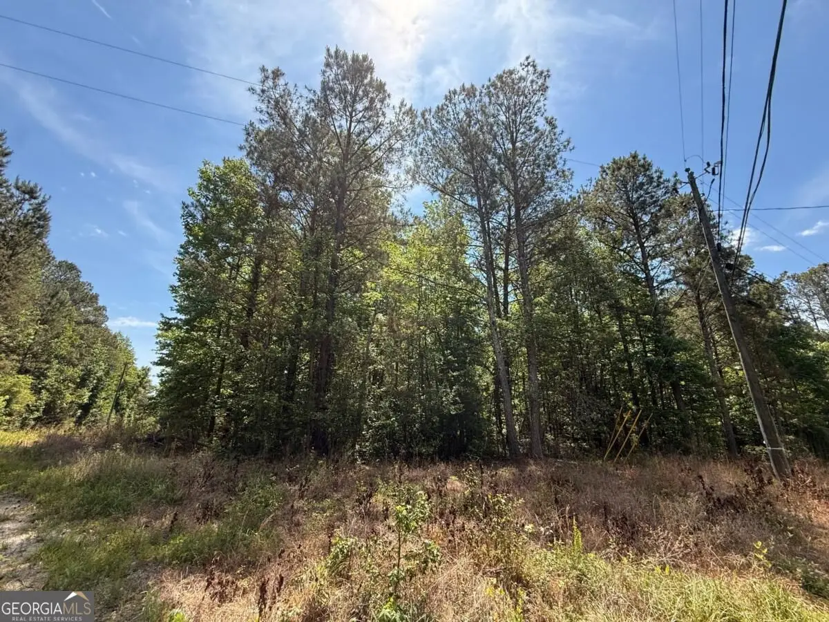 467 N Raburn Road, Bremen, GA 30110 - #1