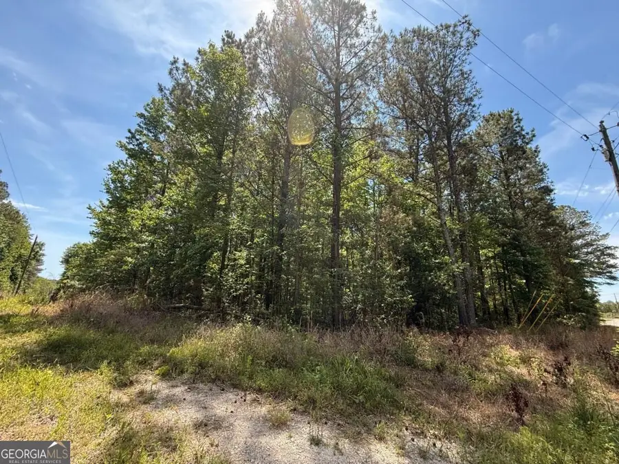 467 N Raburn Road, Bremen, GA 30110 - #2