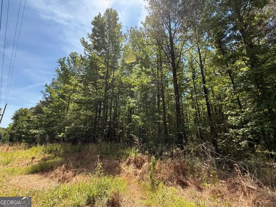 467 N Raburn Road, Bremen, GA 30110 - #3