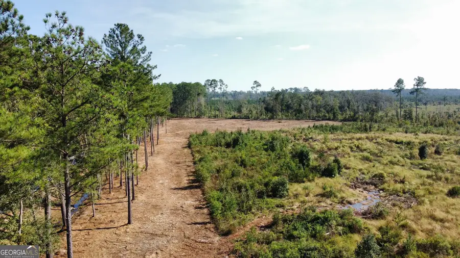 0 Highway 46, Statesboro, GA 30458 - #2