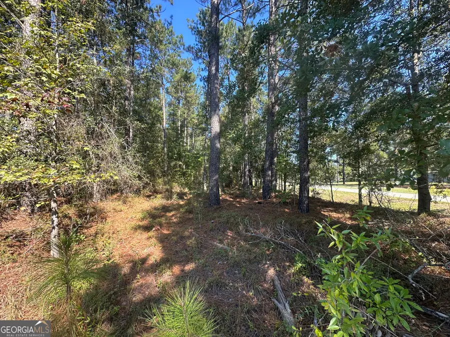 0 Bascom Road, Sylvania, GA 30467 - #2