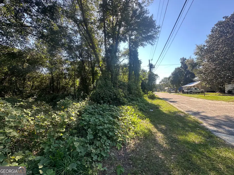 400 Ogeechee East Street, Sylvania, GA 30467 - #3