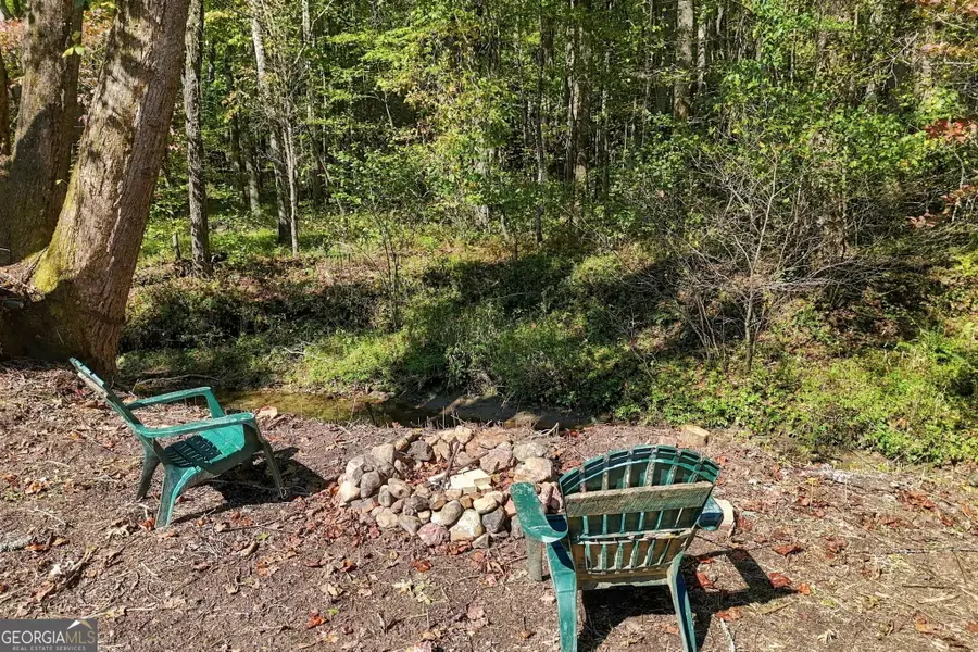 10042 Doublehead Gap Road, Blue Ridge, GA 30513 - #3