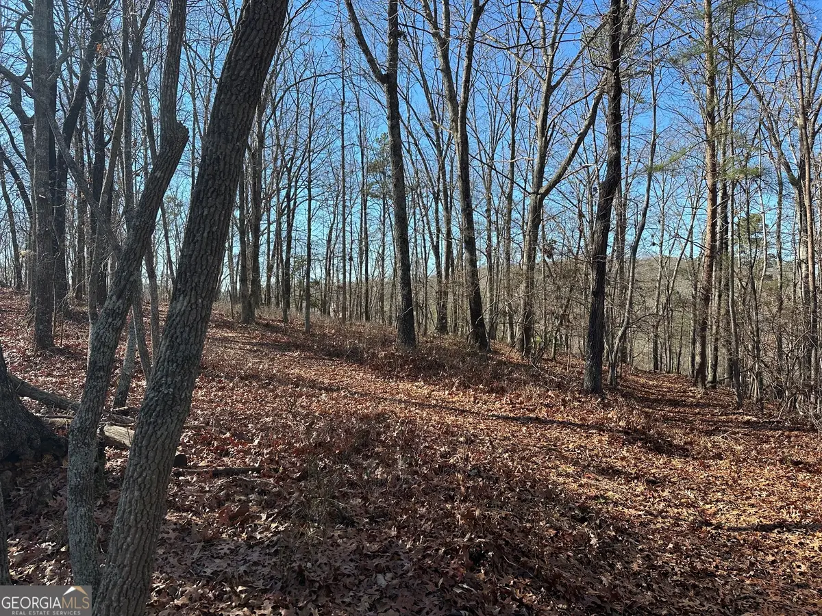 0 Charlie Lemley Road, Dawsonville, GA 30534 - #1