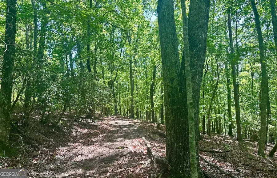 7-/+ Charlie Lemley Road, Dawsonville, GA 30534 - #3