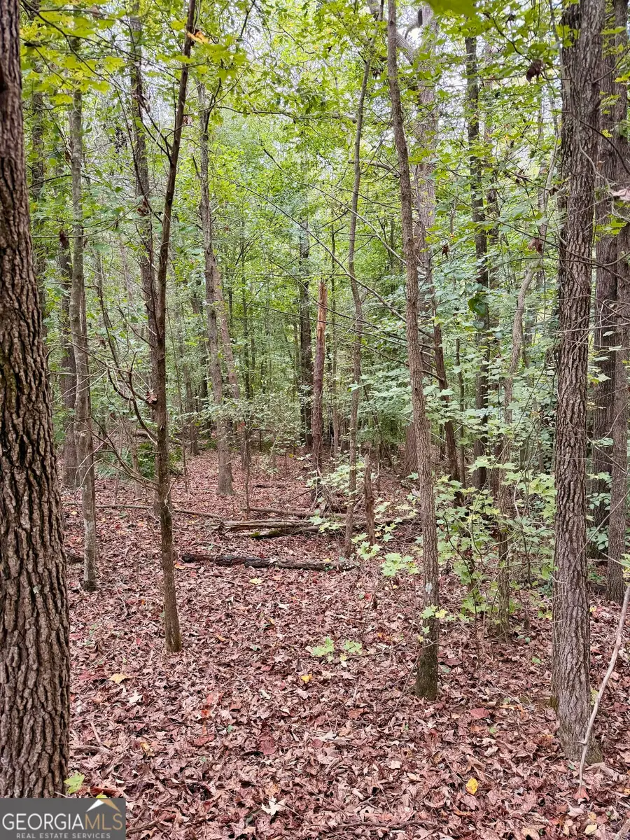 0 Bennett Road #LOT 2 AND 3, Homer, GA 30547 - #3