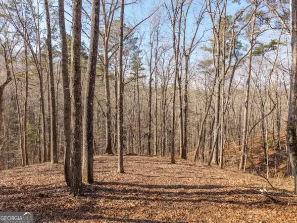 1884 Finale Street, Talking Rock, GA 30175