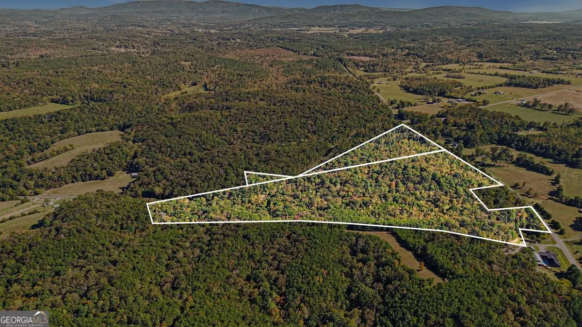 0 Highway 140, Rydal, GA 30171 - #1