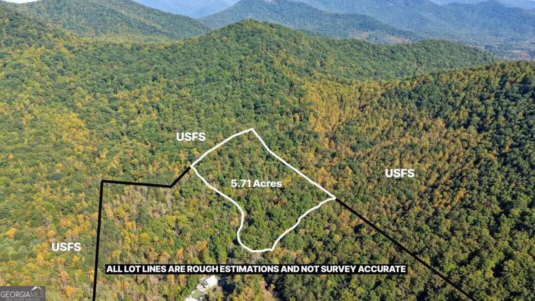 5.71 AC Forest Service 117 Road, Blairsville, GA 30512 - #1