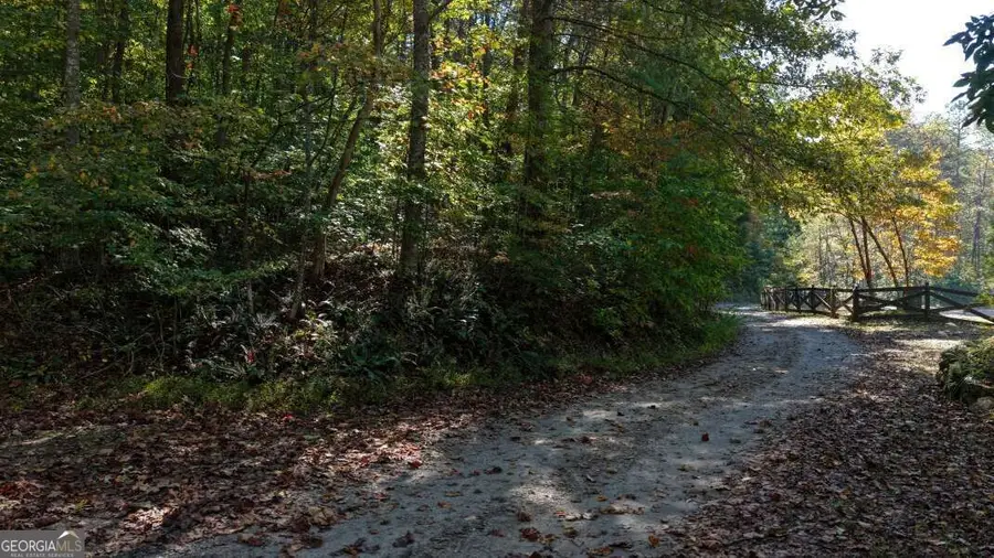 5.71 AC Forest Service 117 Road, Blairsville, GA 30512 - #2
