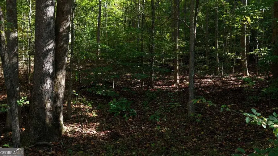 5.71 AC Forest Service 117 Road, Blairsville, GA 30512 - #3