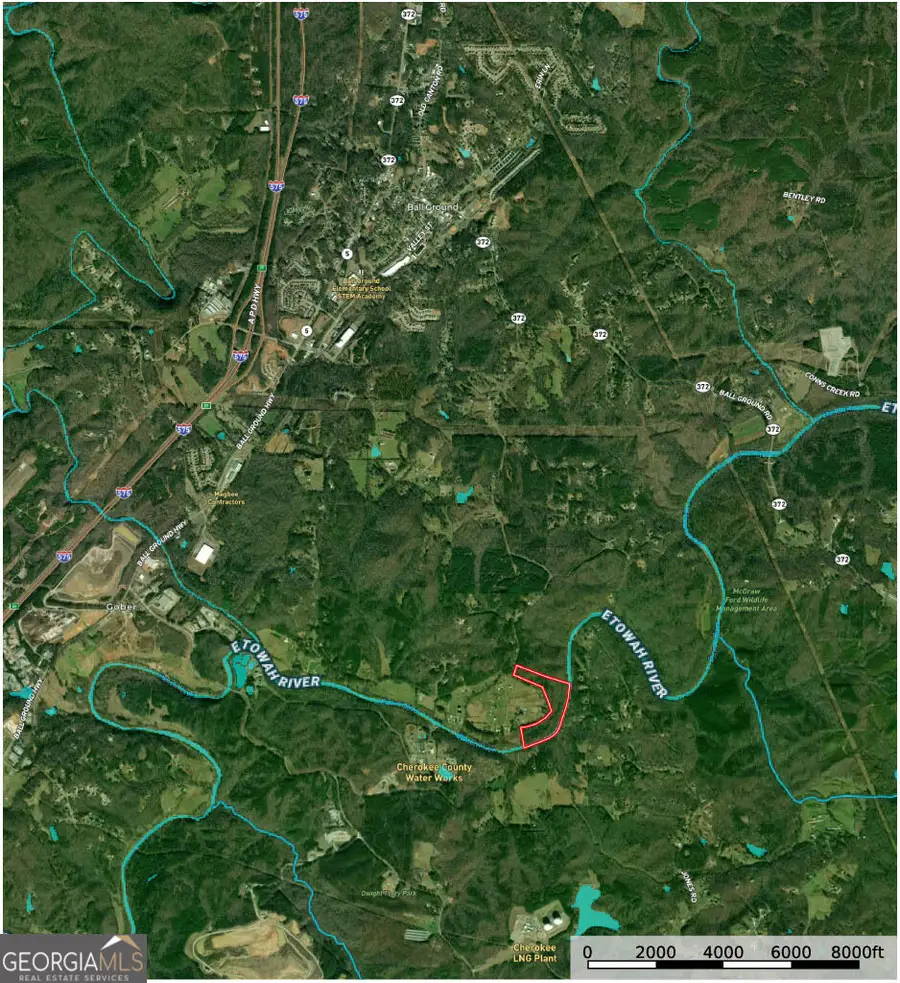 2466 Flatbottom Rd, Ball Ground, GA 30107 - #3