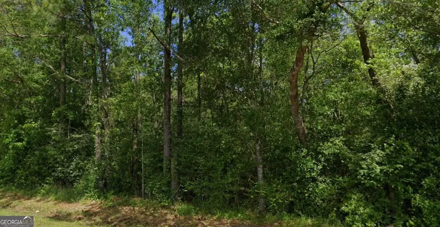 0 N Juniper Street #LOT 4A, Foley, AL 36535 - #3