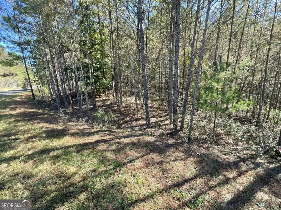 0 Eastview Tr, Ellijay, GA 30536 - #3
