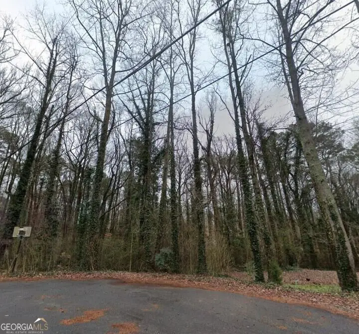 6166 S Skyline Drive, Douglasville, GA 30135 - #2