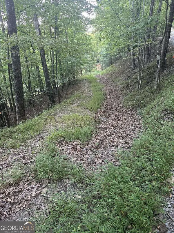 335 Deer Run Lane, Morganton, GA 30560