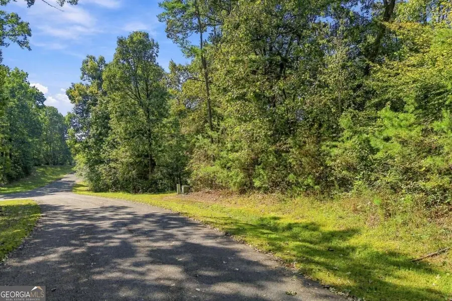 0 Town Creek Road #LOT 20, Talking Rock, GA 30175 - #3