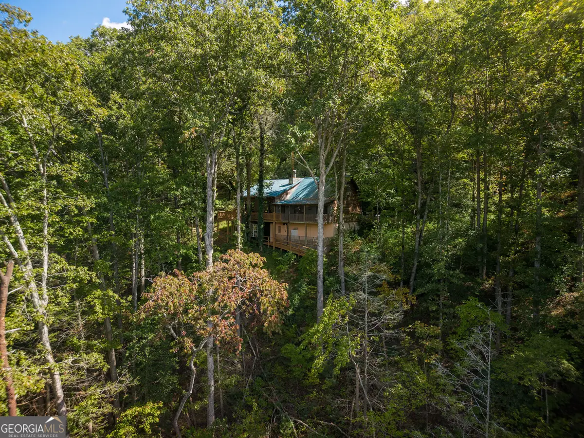 808 Mill Stone Mountain Lane, Blue Ridge, GA 30513 - #1