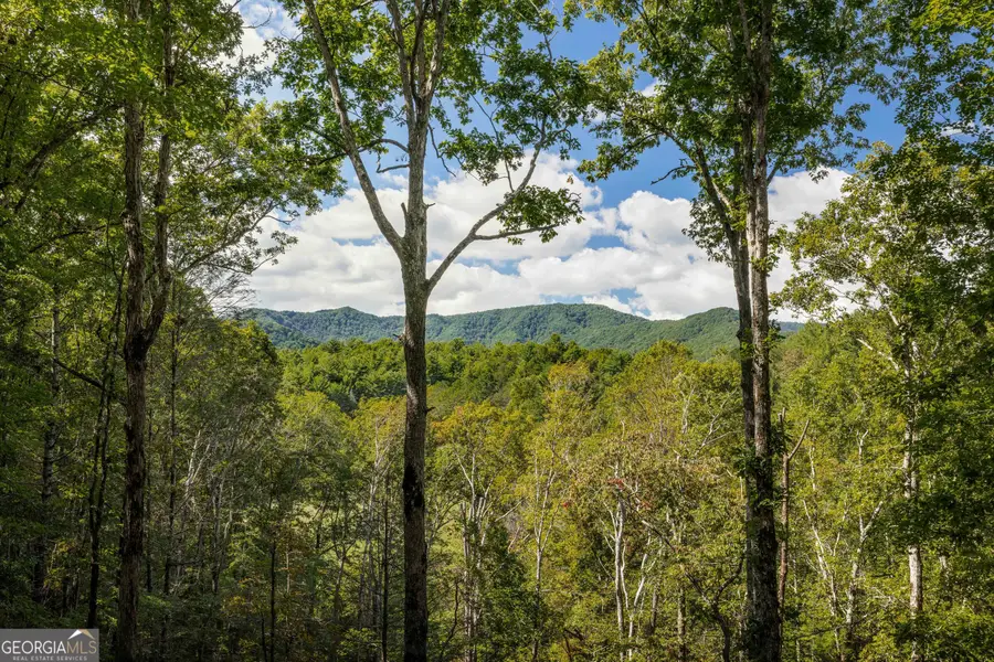 808 Mill Stone Mountain Lane, Blue Ridge, GA 30513 - #2